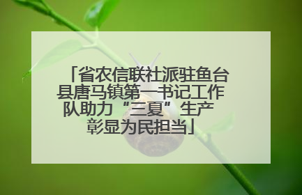 省农信联社派驻鱼台县唐马镇第一书记工作队助力“三夏”生产 彰显为民担当