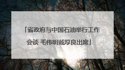 省政府与中国石油举行工作会谈 毛伟明戴厚良出席