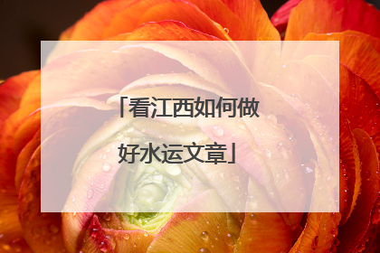 看江西如何做好水运文章