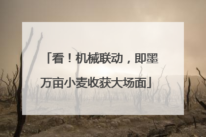 看！机械联动，即墨万亩小麦收获大场面