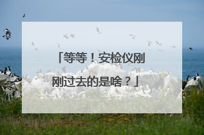 等等！安检仪刚刚过去的是啥？