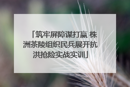 筑牢屏障谋打赢 株洲茶陵组织民兵展开抗洪抢险实战实训