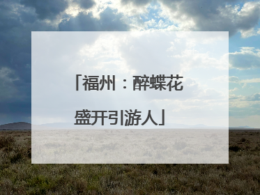 福州：醉蝶花盛开引游人