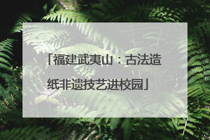 福建武夷山：古法造纸非遗技艺进校园