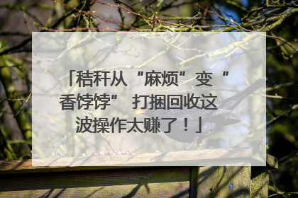 秸秆从“麻烦”变“香饽饽” 打捆回收这波操作太赚了！