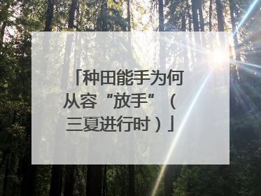 种田能手为何从容“放手”（三夏进行时）