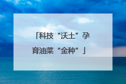 科技“沃土”孕育油菜“金种”