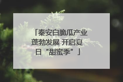 秦安白脆瓜产业蓬勃发展 开启夏日“甜蜜季”