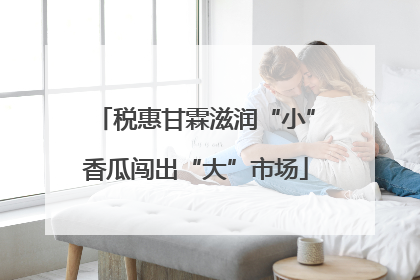 税惠甘霖滋润“小”香瓜闯出“大”市场