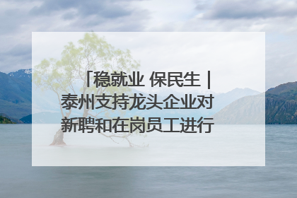稳就业 保民生｜泰州支持龙头企业对新聘和在岗员工进行实训——到岗就能用 用了就见效