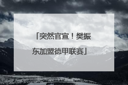 突然官宣！樊振东加盟德甲联赛