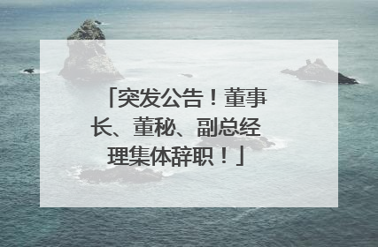 突发公告！董事长、董秘、副总经理集体辞职！