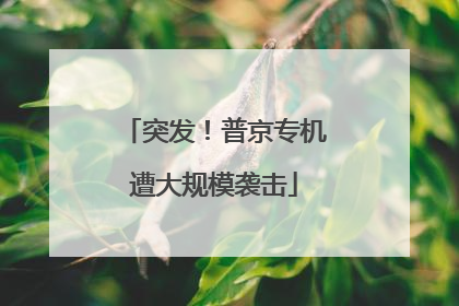 突发！普京专机遭大规模袭击