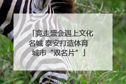 竞走盛会遇上文化名城 泰安打造体育城市“双名片”