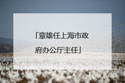 章雄任上海市政府办公厅主任