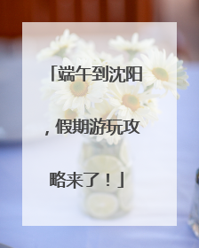 端午到沈阳，假期游玩攻略来了！