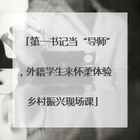 第一书记当“导师”，外籍学生来怀柔体验乡村振兴现场课