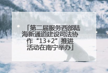 第二届服务西部陆海新通道建设司法协作“13+2”推进活动在南宁举办