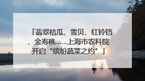 翡翠桔瓜、雪贝、红铃铛、金寿桃……上海市农科院开启“缤纷蔬菜之约”