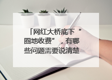 网红大桥底下“圈地收费”，有哪些问题需要说清楚｜新京报快评