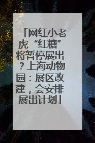 网红小老虎“红糖”将暂停展出？上海动物园：展区改建，会安排展出计划
