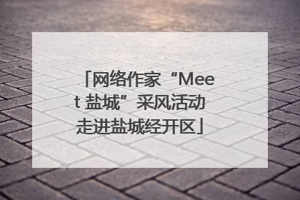 网络作家“Meet 盐城”采风活动走进盐城经开区