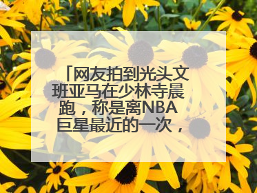 网友拍到光头文班亚马在少林寺晨跑，称是离NBA巨星最近的一次，景区回应