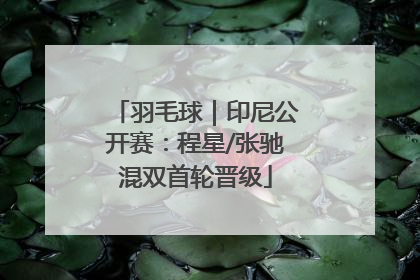 羽毛球｜印尼公开赛：程星/张驰混双首轮晋级