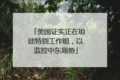 美国证实正在组建特别工作组，以监控中东局势