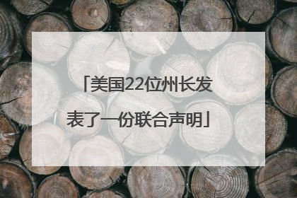 美国22位州长发表了一份联合声明