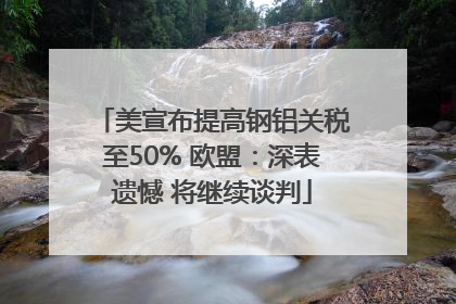 美宣布提高钢铝关税至50% 欧盟：深表遗憾 将继续谈判