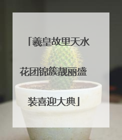 羲皇故里天水花团锦簇靓丽盛装喜迎大典