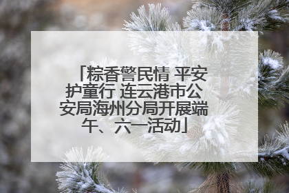 粽香警民情 平安护童行 连云港市公安局海州分局开展端午、六一活动