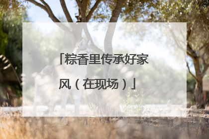 粽香里传承好家风（在现场）