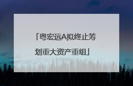 粤宏远A拟终止筹划重大资产重组