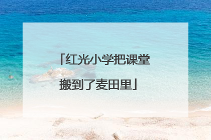红光小学把课堂搬到了麦田里