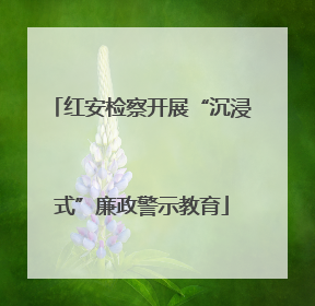 红安检察开展“沉浸式”廉政警示教育