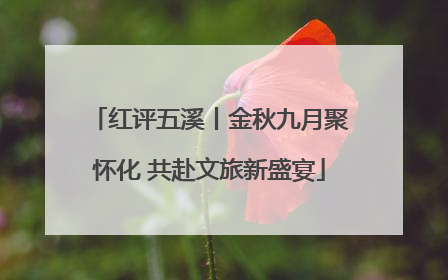 红评五溪丨金秋九月聚怀化 共赴文旅新盛宴