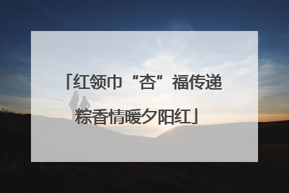红领巾“杏”福传递 粽香情暖夕阳红