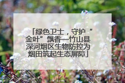 绿色卫士，守护“金叶”飘香—竹山县深河烟区生物防控为烟田筑起生态屏障