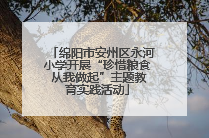 绵阳市安州区永河小学开展“珍惜粮食 从我做起”主题教育实践活动