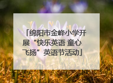 绵阳市金峰小学开展“快乐英语 童心飞扬”英语节活动