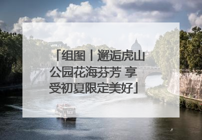 组图丨邂逅虎山公园花海芬芳 享受初夏限定美好