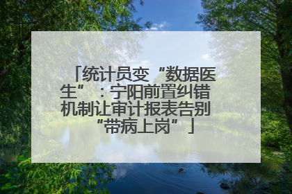 统计员变“数据医生”：宁阳前置纠错机制让审计报表告别“带病上岗”