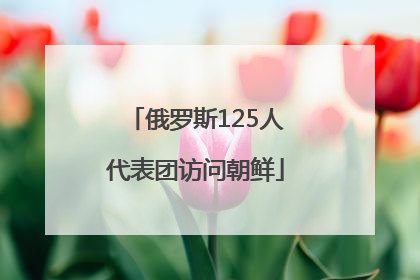 俄罗斯125人代表团访问朝鲜