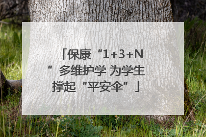 保康“1+3+N”多维护学 为学生撑起“平安伞”