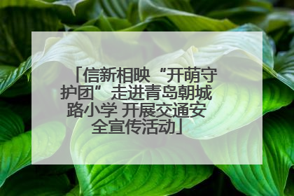 信新相映“开萌守护团”走进青岛朝城路小学 开展交通安全宣传活动