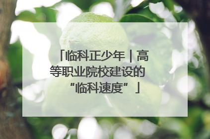 临科正少年｜高等职业院校建设的“临科速度”