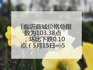 临沂商城价格总指数为103.38点，环比下跌0.10点（5月15日—5月21日）