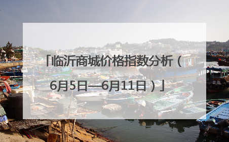 临沂商城价格指数分析（6月5日—6月11日）